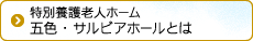 五色・サルビアホール2Fとは